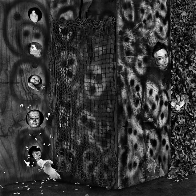 Ambushed. From the series "Asylum of the Birds" © Roger Ballen