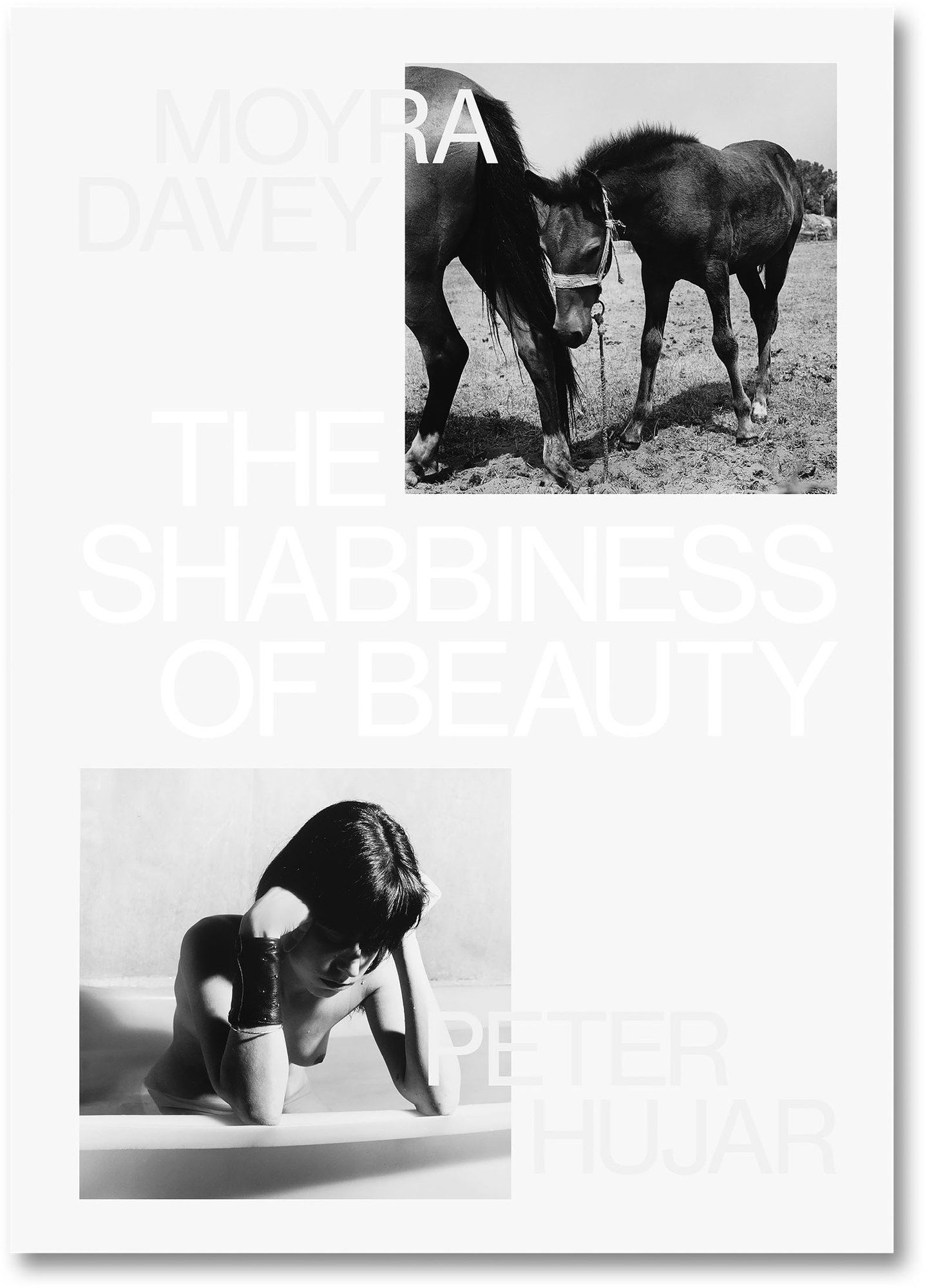 The Shabbiness of Beauty