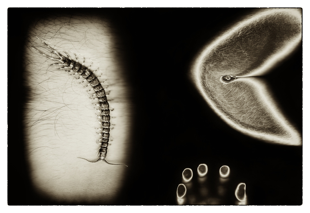 Imaginary "I" & other stories Part II