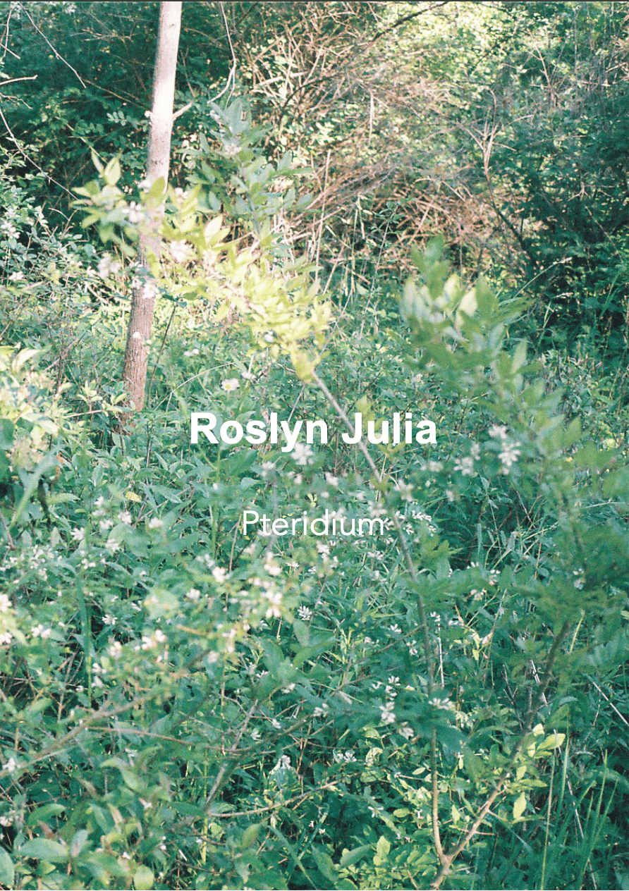 Pteridium