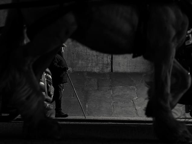 Underbelly