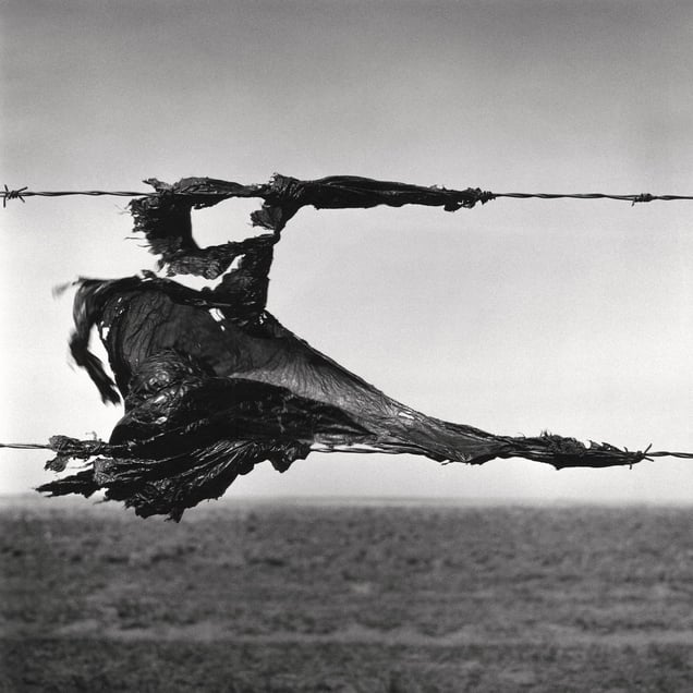 Snag #4, Trans-Canada Highway, Redcliff, AB, Canada