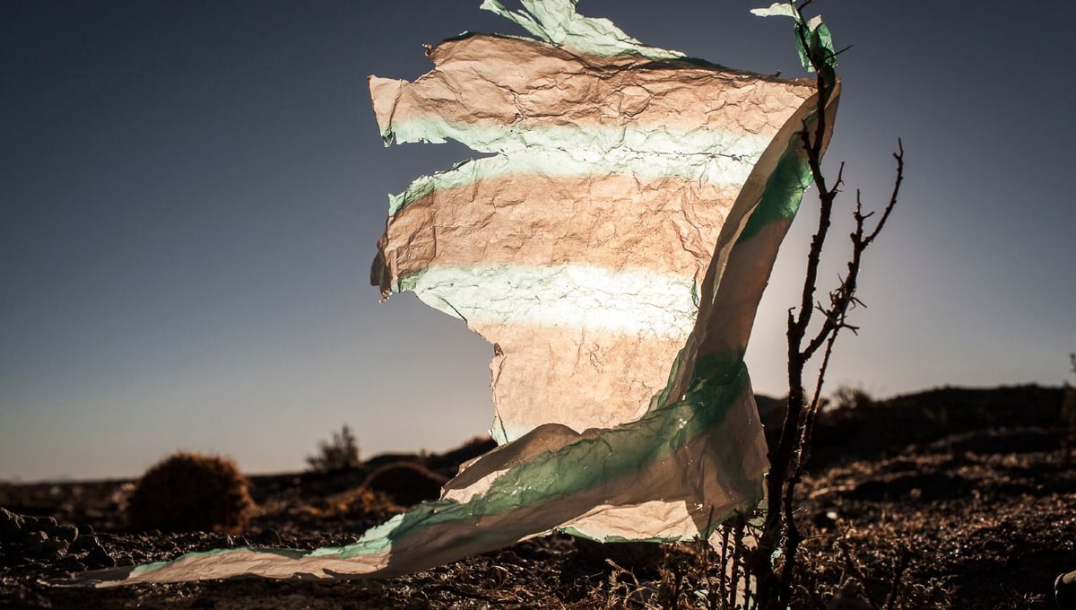 Plastic Tree #22