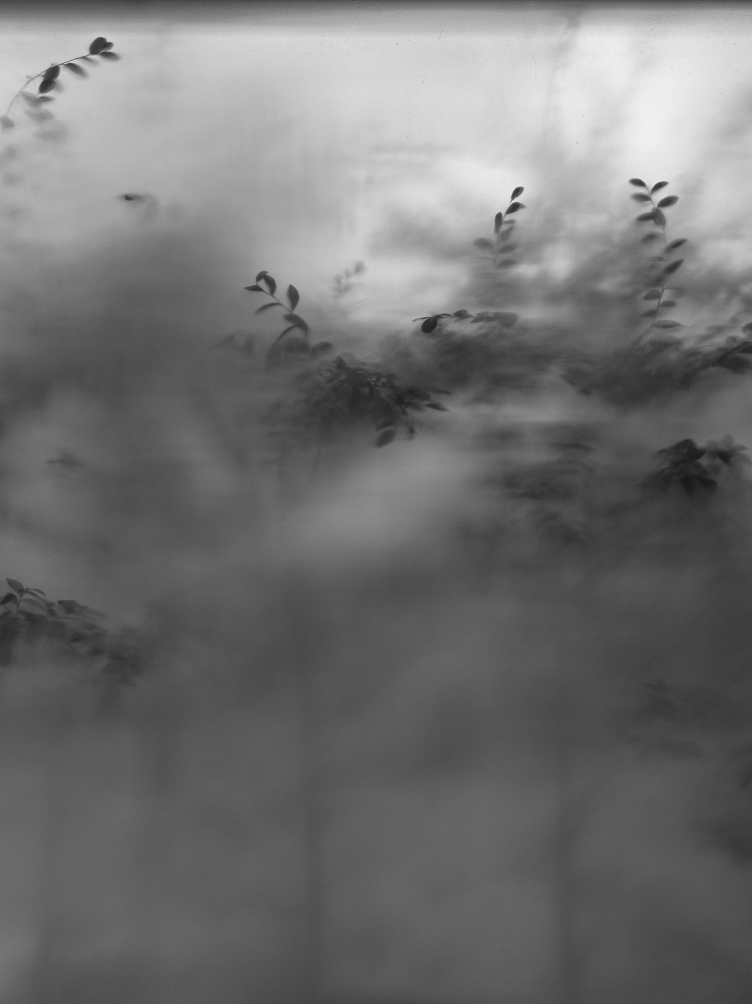 Sense in Absence
