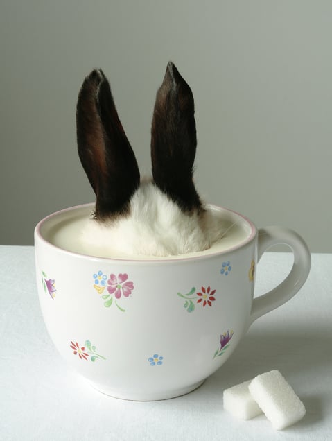 Les lois de l'amnésie, 2008. Archival inkjet print © Marc Sommer. Exhibitor: ESTHER WOERDEHOFF