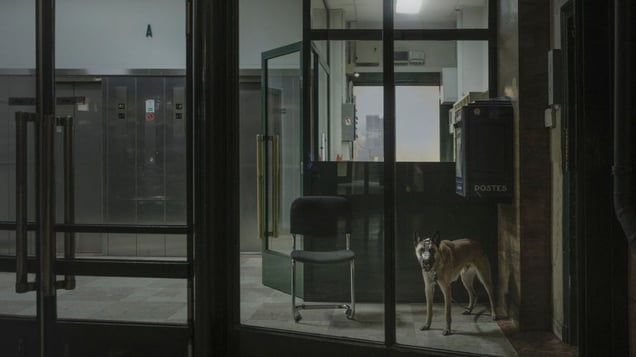 From the series "Alphaville"