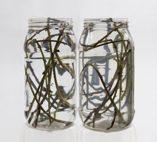 Untitled, 2012 © Julia Kraijer. All images courtesy of Huis Marseille.
