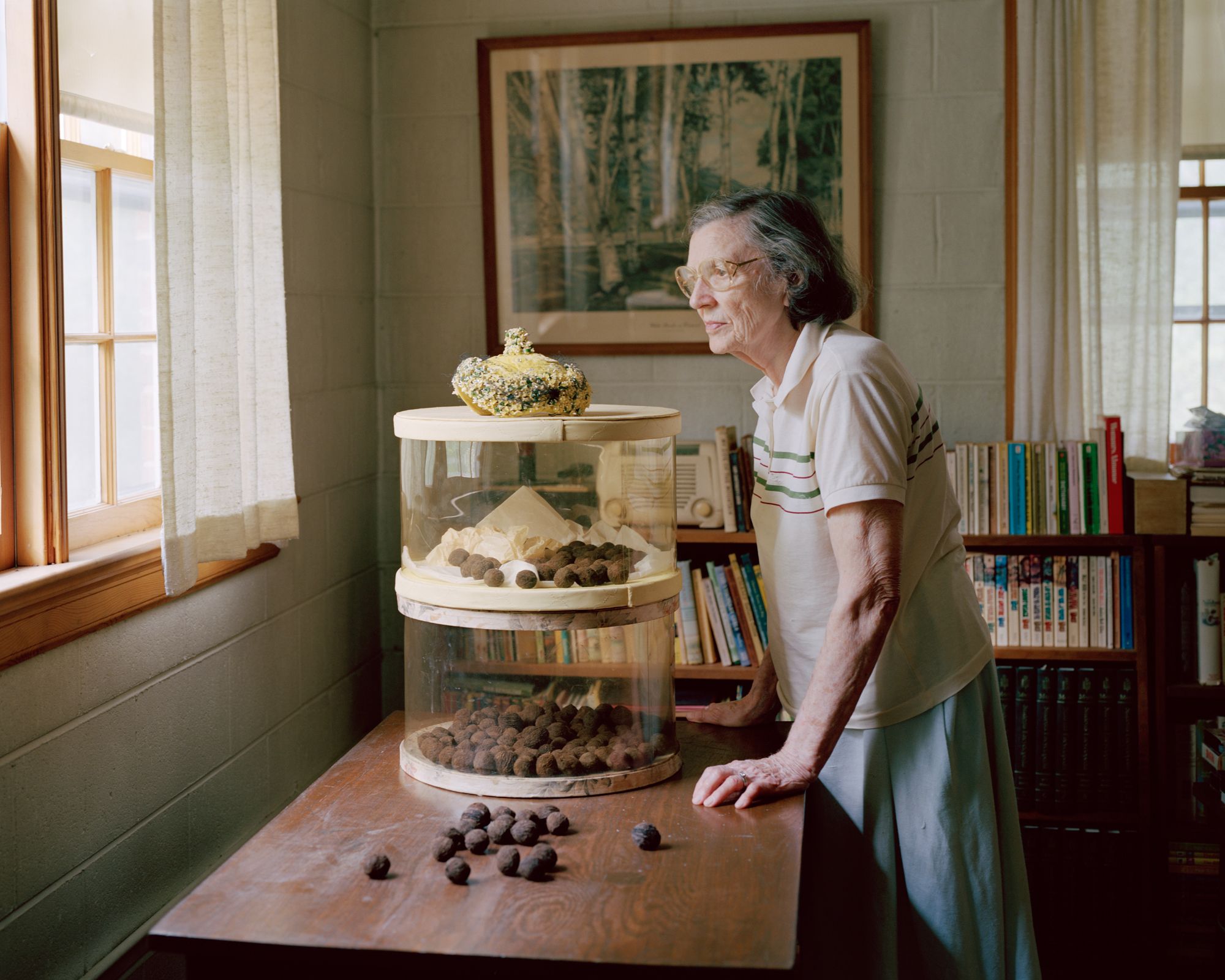 Bittersweet On Bostwick Lane - Photographs and text by Susan