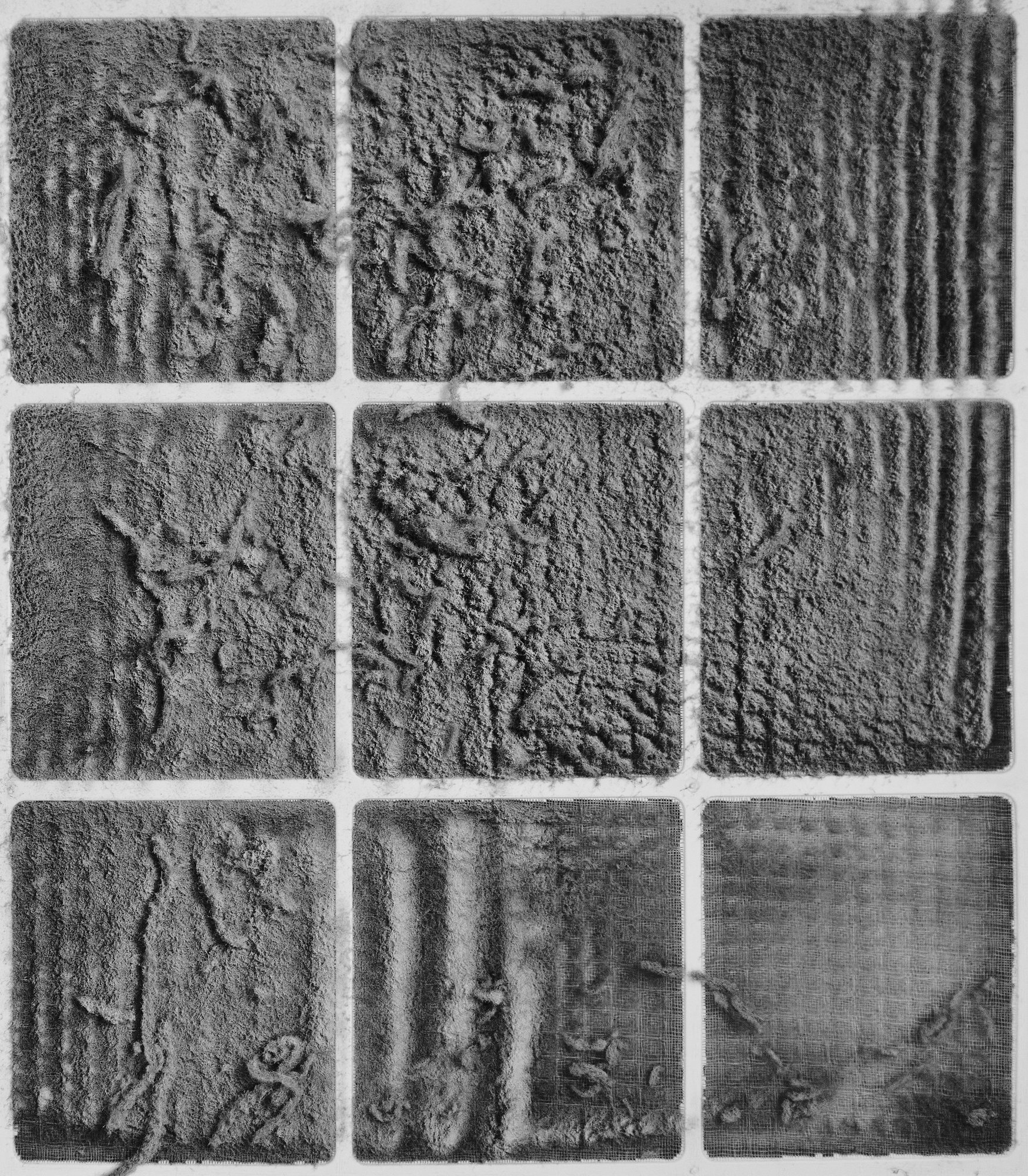 Chen Chi (the Mundane World)