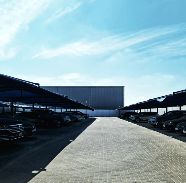 Freedom and Guilt, XIX