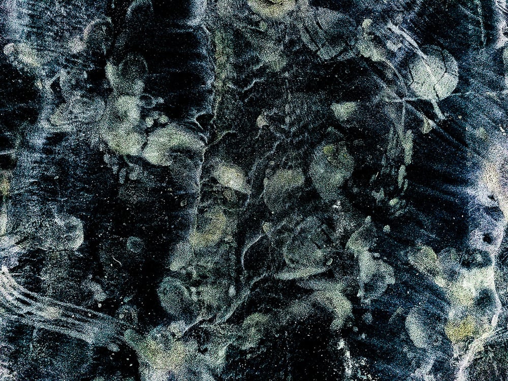 Antropocenica