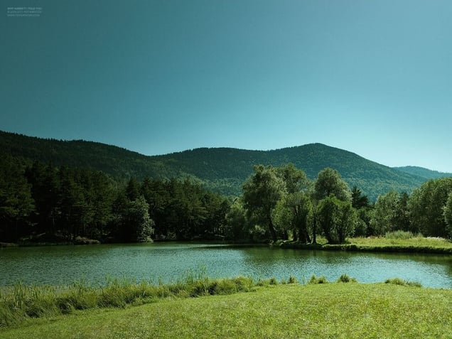 Why haven’t I told you