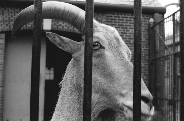 We see eye to eye