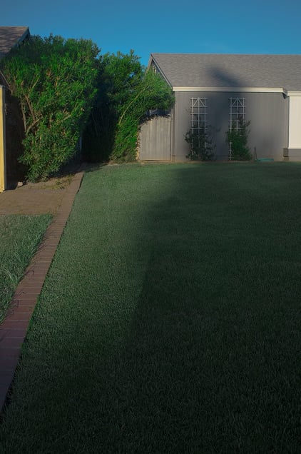 Morning Lawn