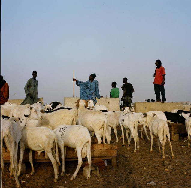 From the series "En Route to Dakar" © Mimi Mollica