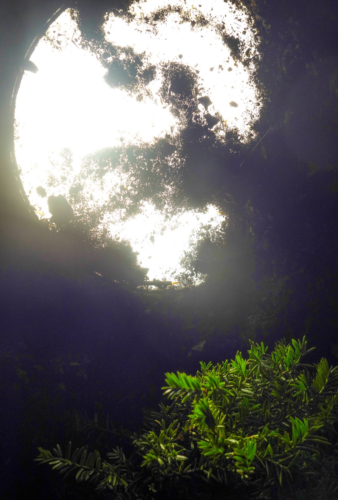 False Moons