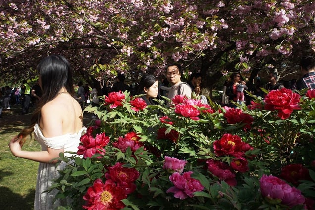 Brooklyn, New York. From Slant Rhymes.