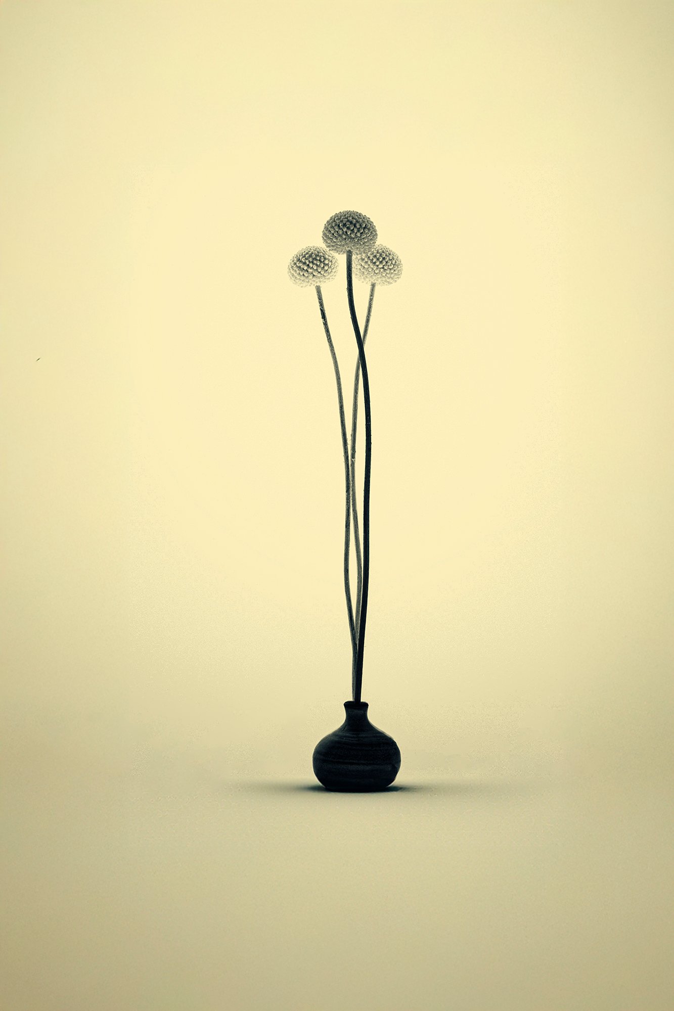 The Way of Fowers