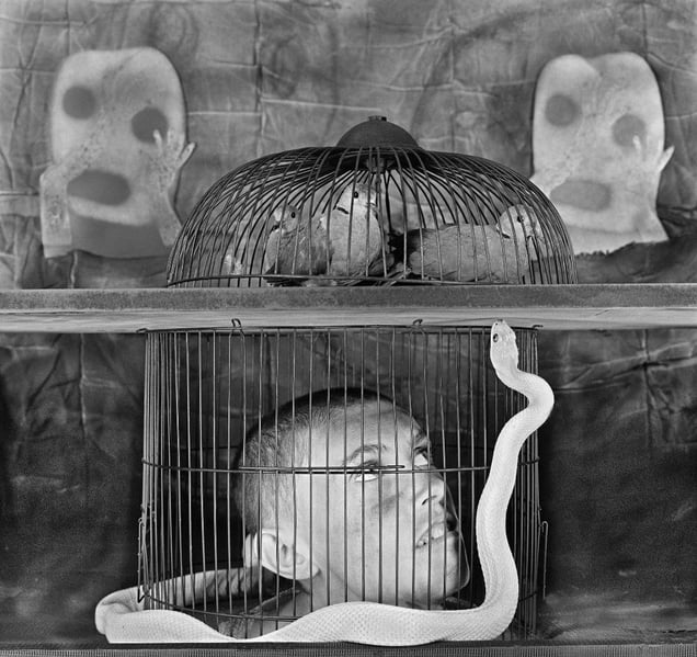 Caged. From the series "Asylum of the Birds" © Roger Ballen