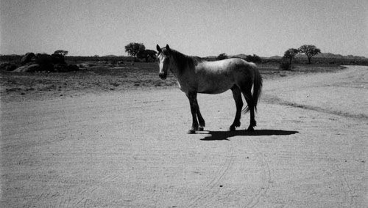 Polaroid photo by Patti Smith, from the exhibition "Land 250" at Fondation Cartier pour lart contemporain, Paris, March 28  June 22, 2008
© Patti Smith © Fondation Cartier pour lart contemporain