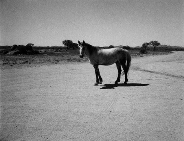 Polaroid photo by Patti Smith, from the exhibition "Land 250" at Fondation Cartier pour lart contemporain, Paris, March 28  June 22, 2008
© Patti Smith © Fondation Cartier pour lart contemporain