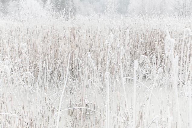 Untitled from "White is not a Colour"