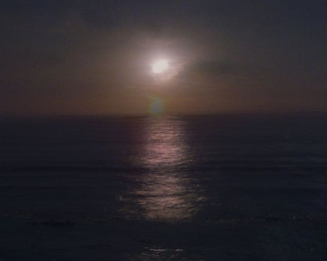 Twenty-six  Years out of a Death Row Sentence (Ocean) © Amy Elkins