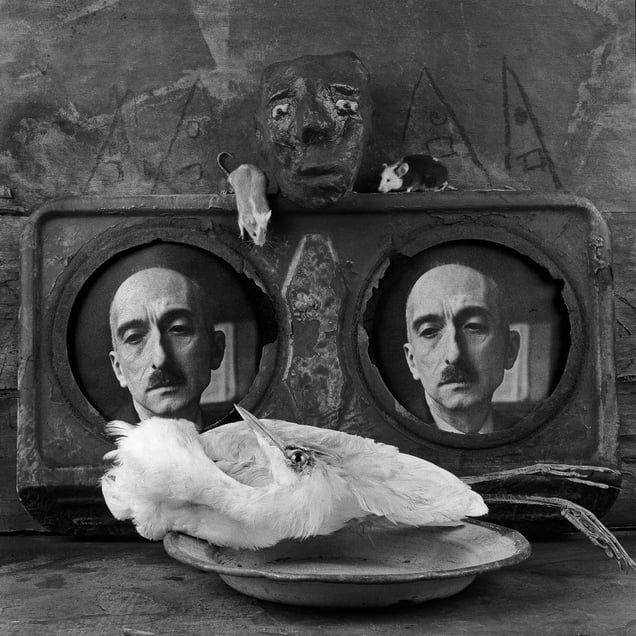 Homage. From the series "Asylum of the Birds" © Roger Ballen