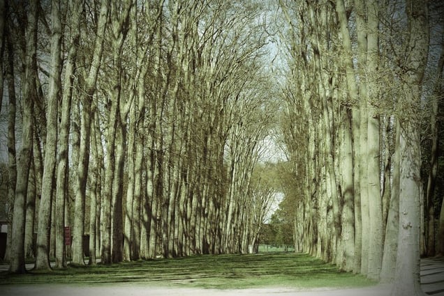 Ben Bass, United States. Shortlist, Youth Competition. 2014 Sony World Photography Awards