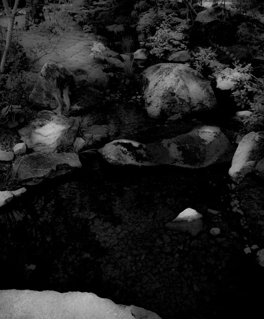 Moonlight Shadow ・Ⅱ