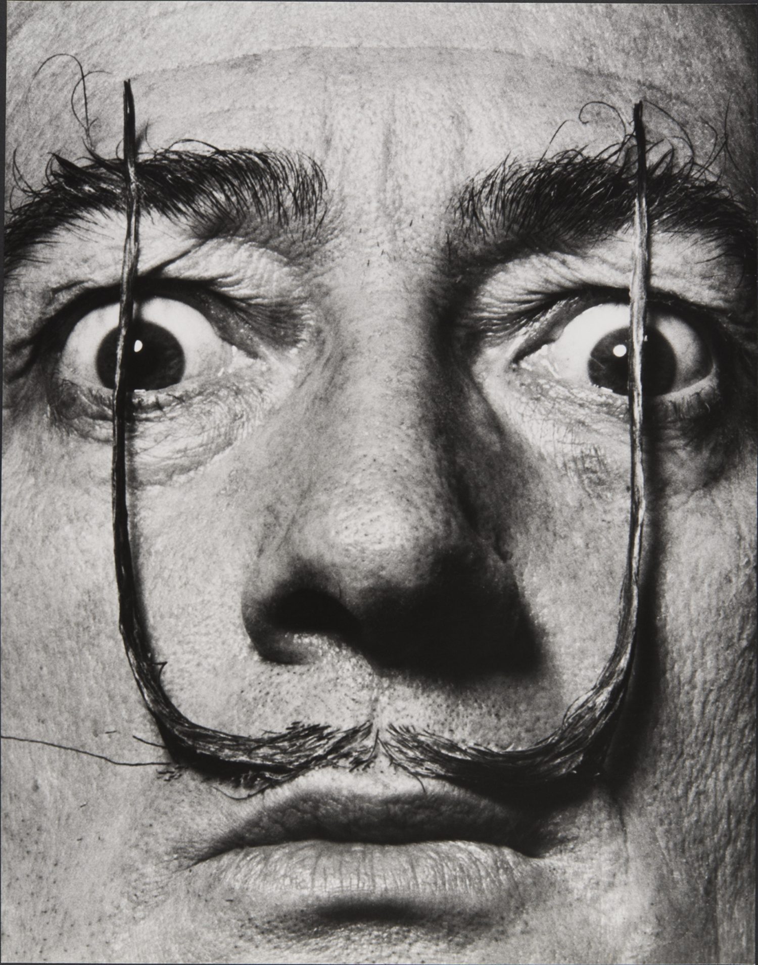 Astonish Me: Philippe Halsman's Photographic Joy - Exhibition
