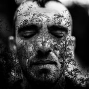 Francisco Vasconcelos