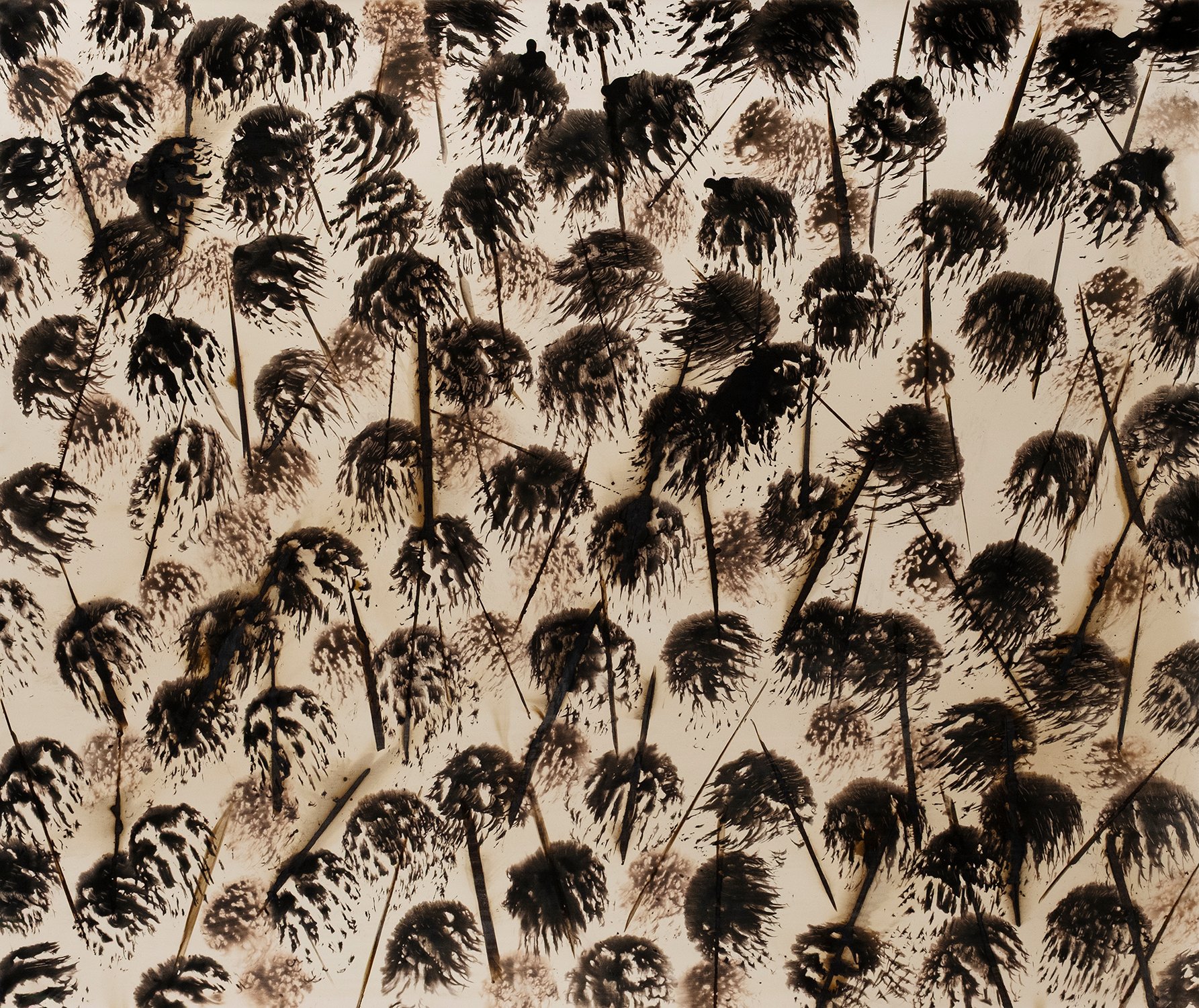 Seeds no. 1, 2025, Chromo Gelatin Silver Print, 1/1 Unique Hand-manipulated Print, from the series "They Tried To Bury Us But They Forgot We Are Seeds" © Frank Lopez