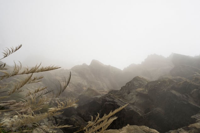 From the group exhibition "ENSP/Territoire(s)"