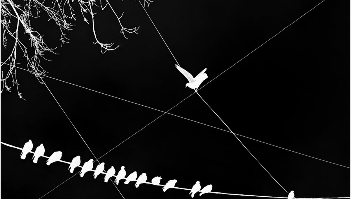 .Trapped, confused.
