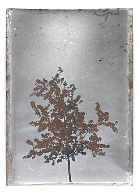 Untitled Berlin IX, 2012, 175 x 127 cm, Silver Gelatin Print, Mixed Media © Jeff Cowen