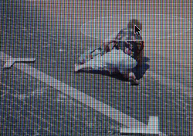 From "A Series of Unfortunate Events" discovered on Google Street View. Photographs © Michael Wolf