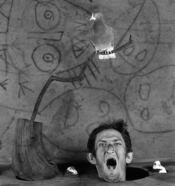 Scream. From the series "Asylum of the Birds" © Roger Ballen