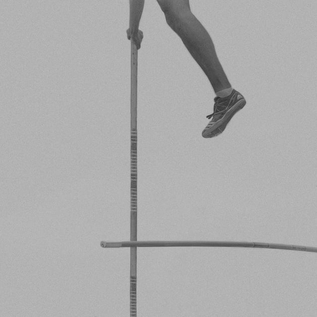 pole vault V