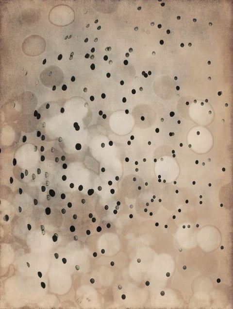 LPV #1  36x46"  Edition of 5           ©Thomas Brummett