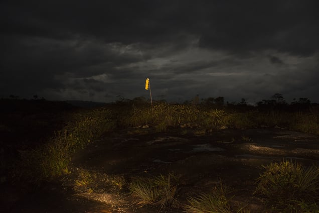 Auyantepui summit, National Park Canaima Venezuela