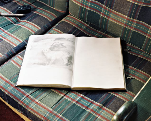 Frost & Frosty, 2022