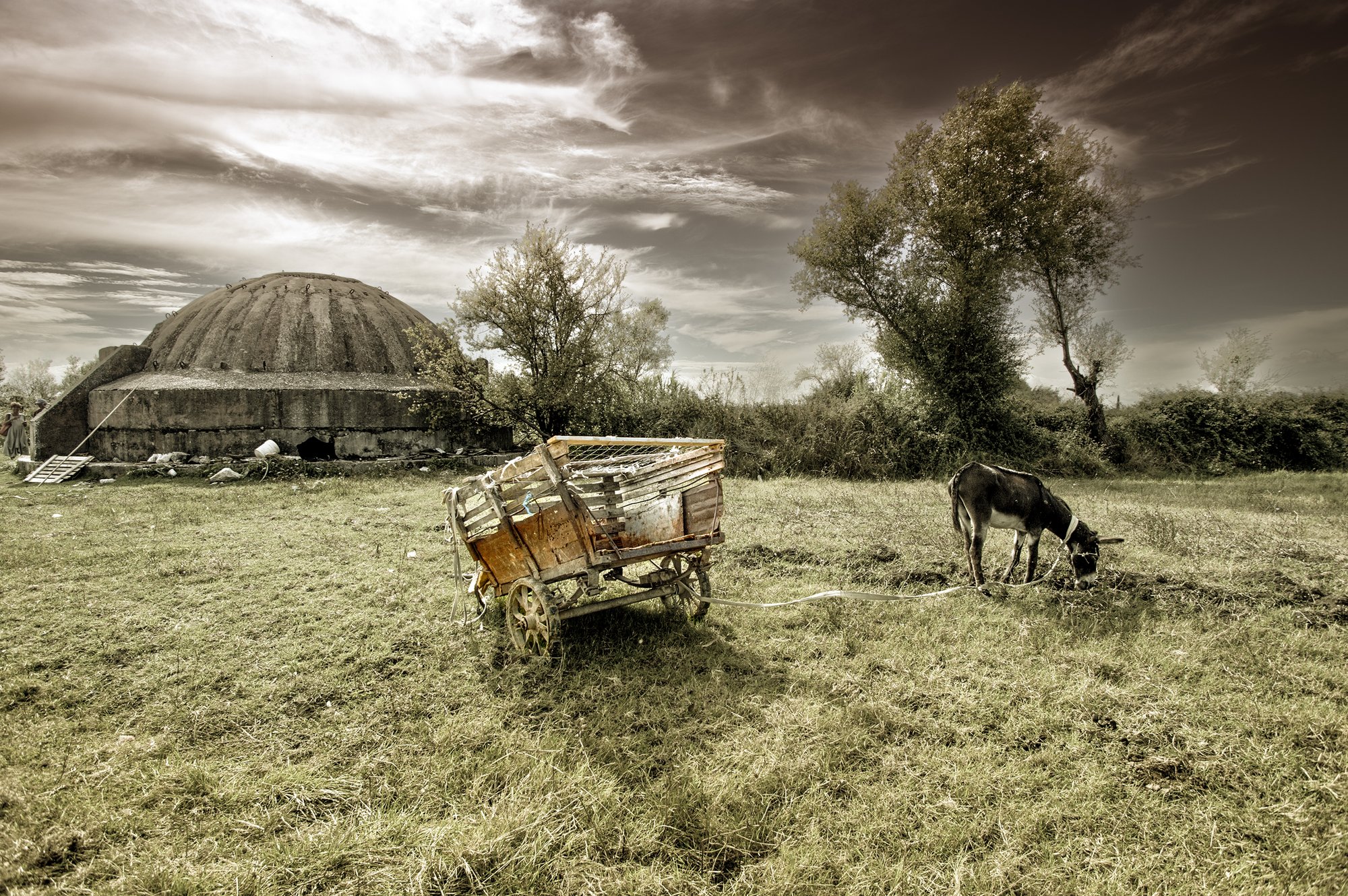 Amarcord Albania