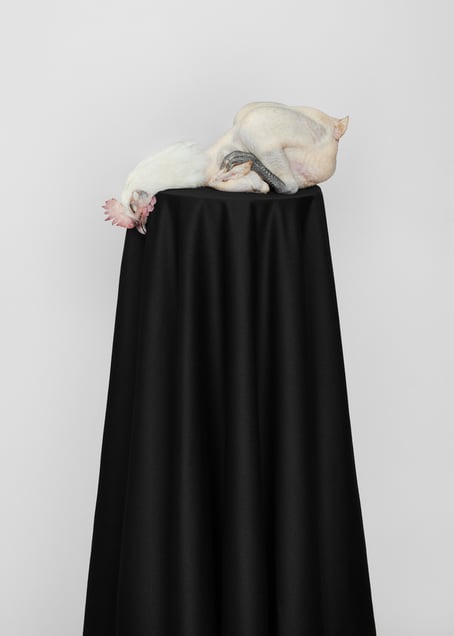 Untitled 09, from the Post series