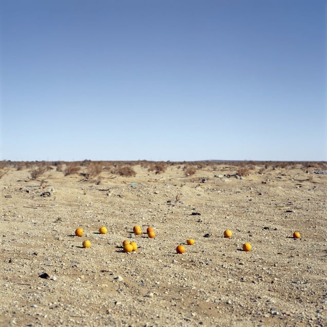 Discarded # 9, 2013. Showing at Thomas Zander. Courtesy of PhotoLondon.