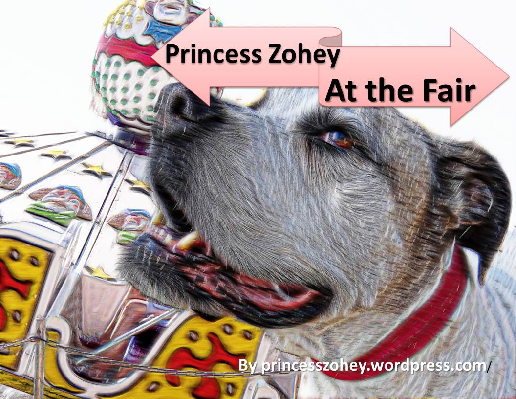 Princess Zohey at the Fair