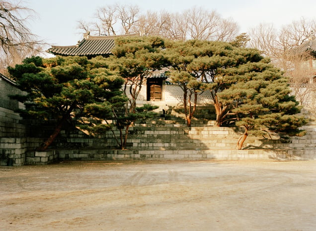 Hidden Landscape