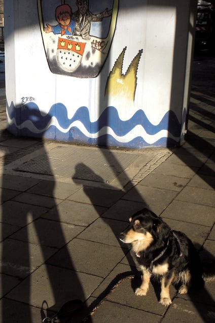 "WARUM IST ES AM RHEIN SO SCHÖN?" "WHY IS IT SO BEAUTIFUL ON THE RHINE?"