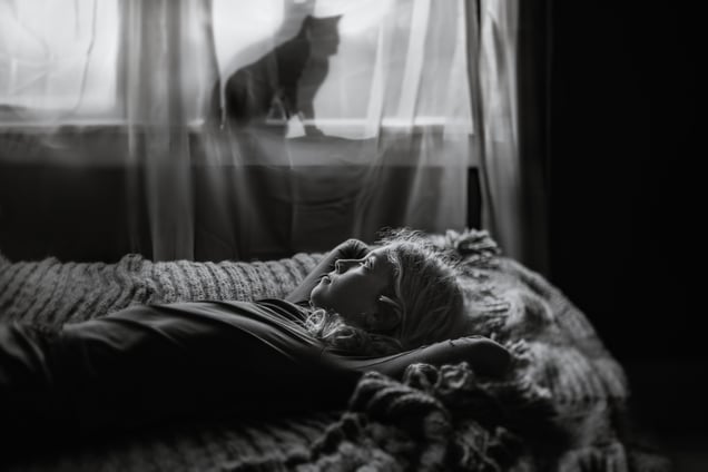 Cat Dreams