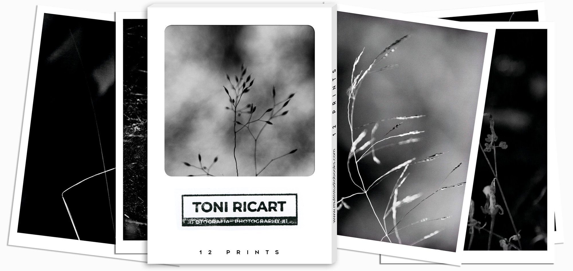 12 PRINTS - WALK IN A DREAM